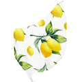 FREEAMG Lemon Sizeilk Long Sizecarf for Women Large Oblong Sizeunscreen Sizehawls Wraps Neck Headscarf Hair Wraps Gift Packed