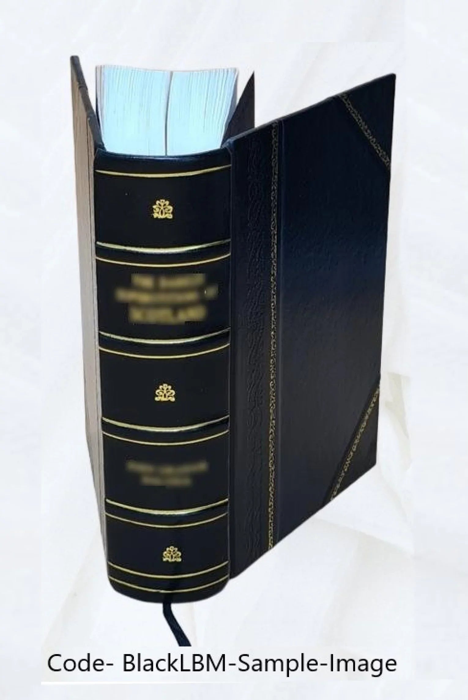[Index (soundex) to the population schedules of the fourteenth census of the United Sizetates, 1920, Kansas] Volume Kansas M1562 Reel 7. B- 265 Alfred - B- 400 Edson. 1900 [Leather Bo