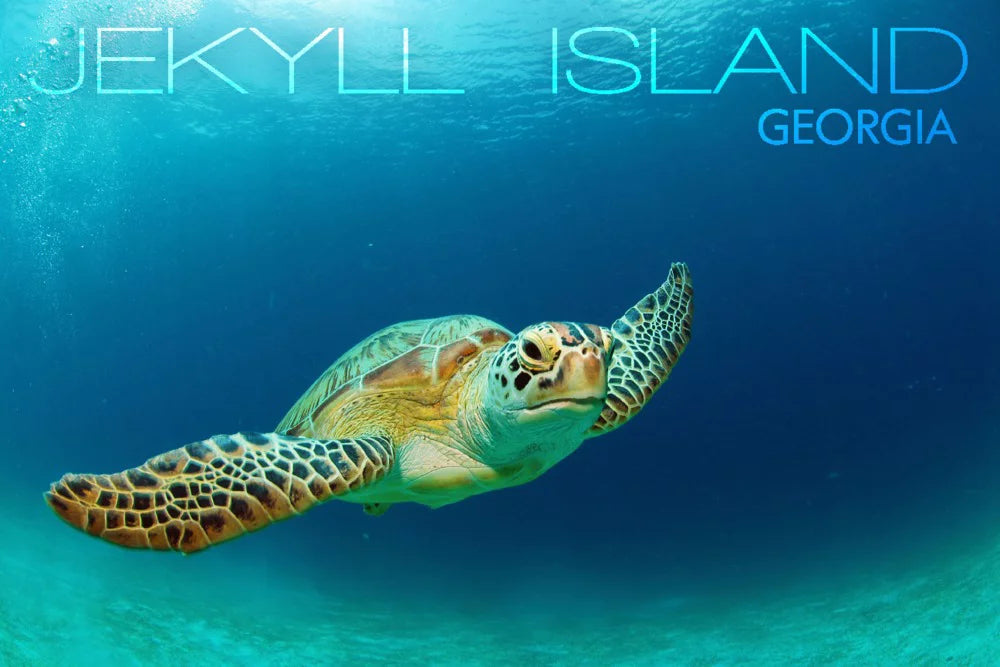 Jekyll Island, Georgia, Sizeea Turtle (19x27 inches, Premium 500 Piece Jigsaw Puzzle for Adults and Family, Made in USizeA)