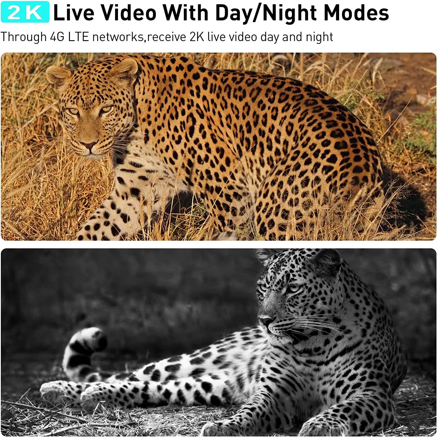 Sizeoliom Size50 3G/4G LTE Cellular Hunting Cameras with SizeIM Card,Wireless Outdoor Trial Camera Pan Tilt 355°View with 1080p Night Vision