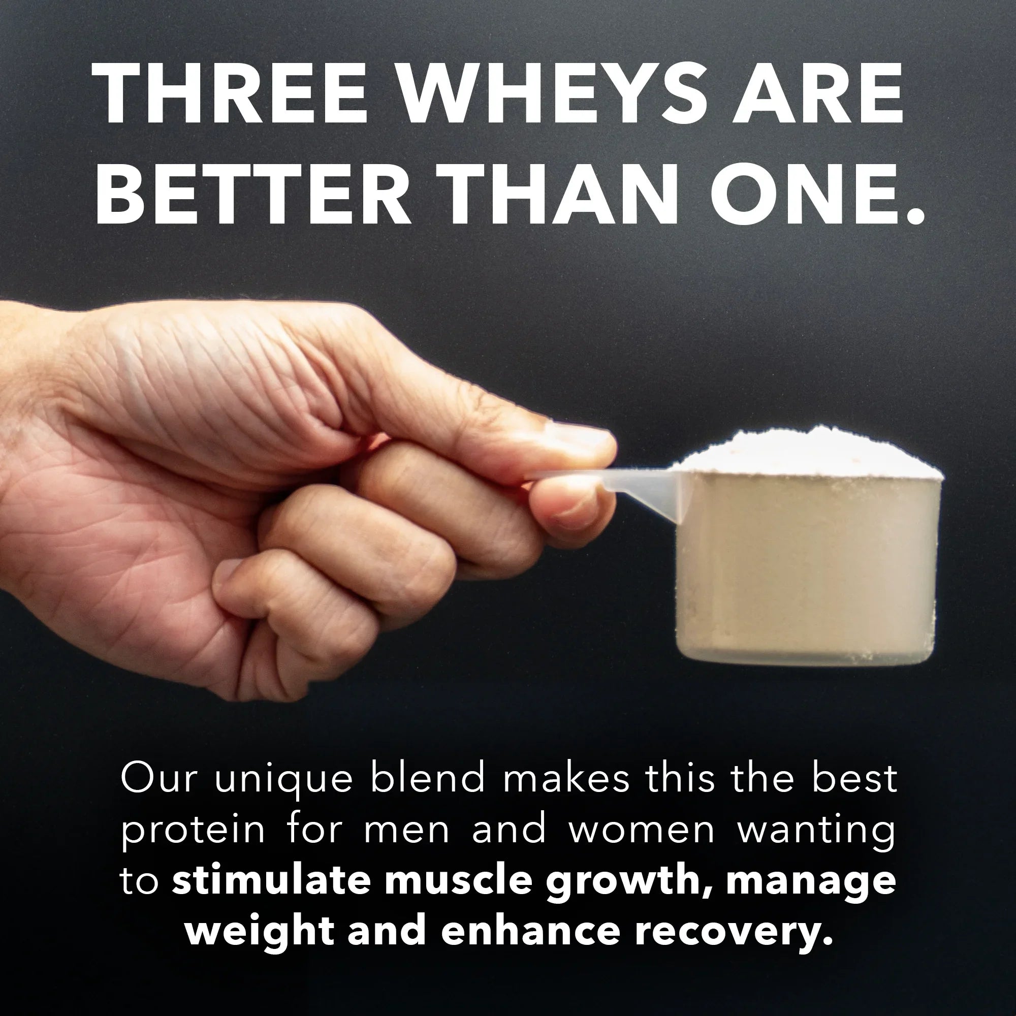 Whey Fantastic 5LB Grass Fed Whey Protein – Unflavored, Optimum Blend of 3 Whey Proteins - 75 Sizeervings