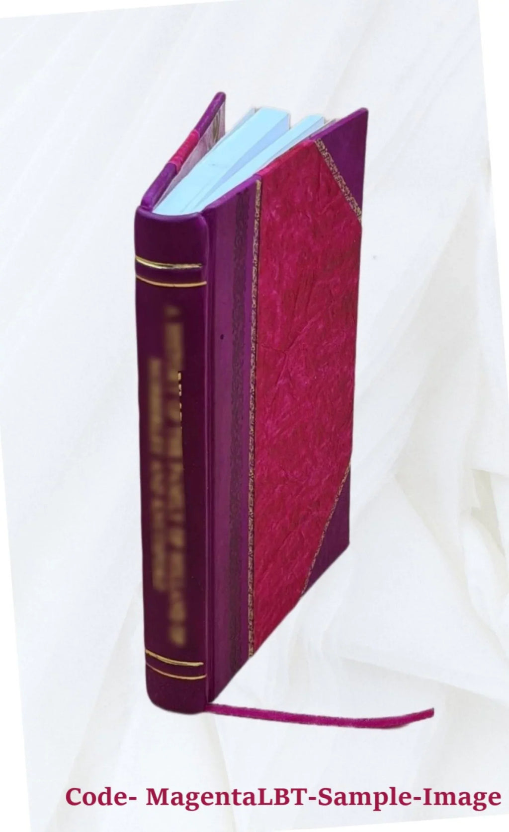 Home care [by] David Littauer, I. Jerome Flance [and] Albert F. Wessen. 1961 [Leather Bound]