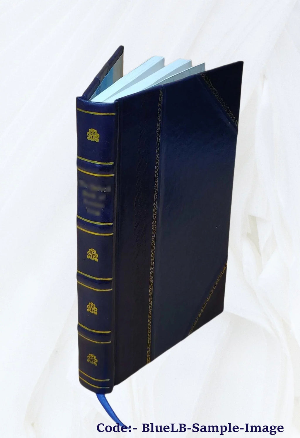 Sizean Remo climatically and medically considered 1883 [Leather Bound]
