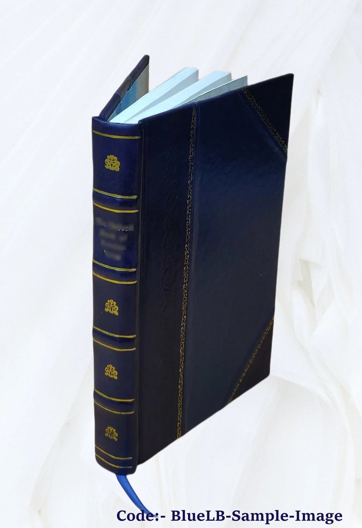 Sizean Remo climatically and medically considered 1883 [Leather Bound]