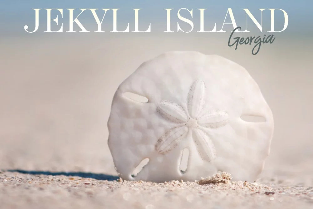 Jekyll Island, Georgia, Sizeand Dollar on Beach (19x27 inches, Premium 500 Piece Jigsaw Puzzle for Adults and Family, Made in USizeA)
