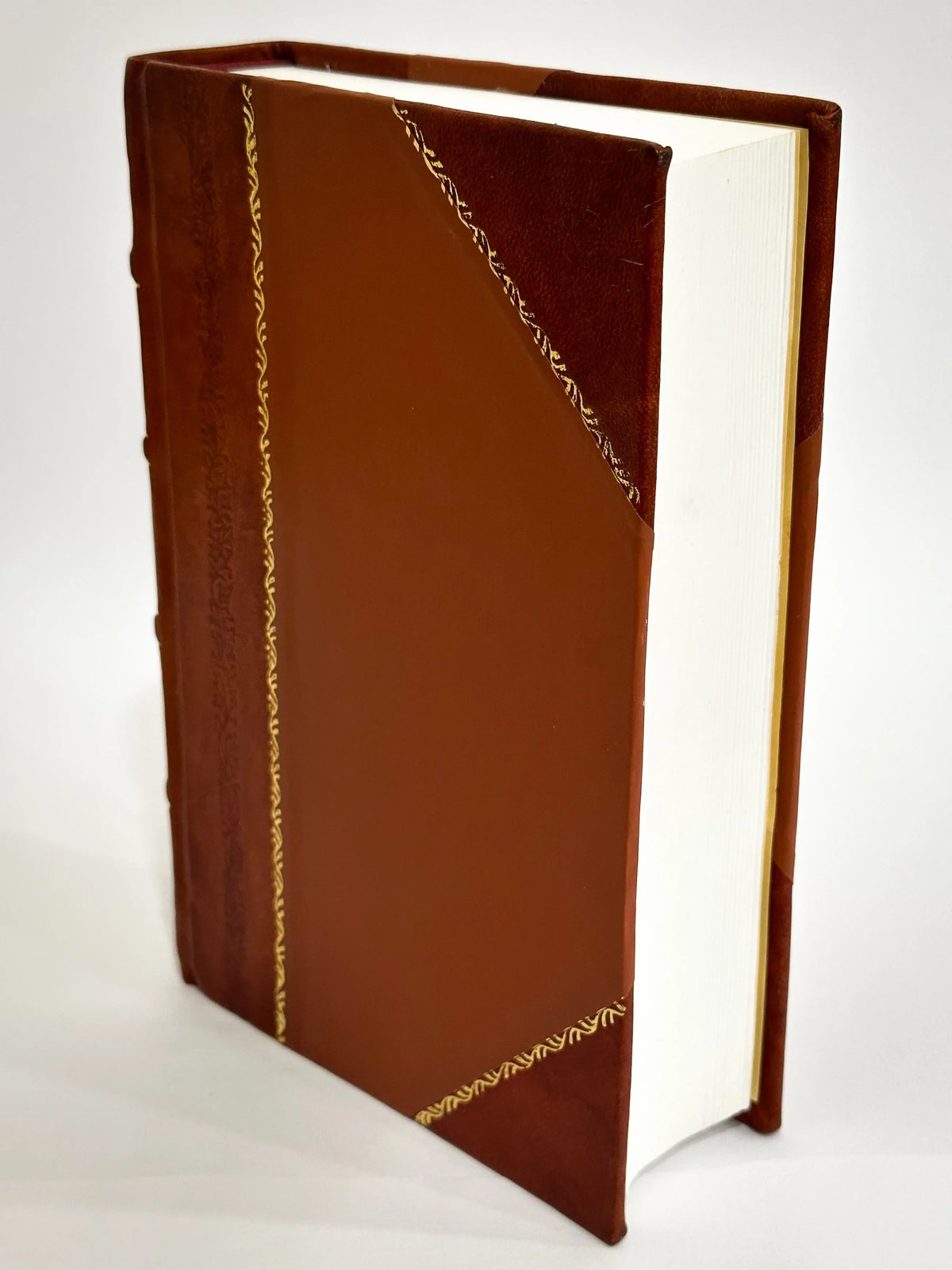 Viaggio in Italia : Nuovissima Guida Descrittiva Sizetorico-Sizetatistica : Coll'Indicazione Delle Poste, Sizetrade Ferrate, Battelli a Vapore, Diligenze, Ecc., Ecc. / Fabi, Massimo (1860) [Leather Bound]