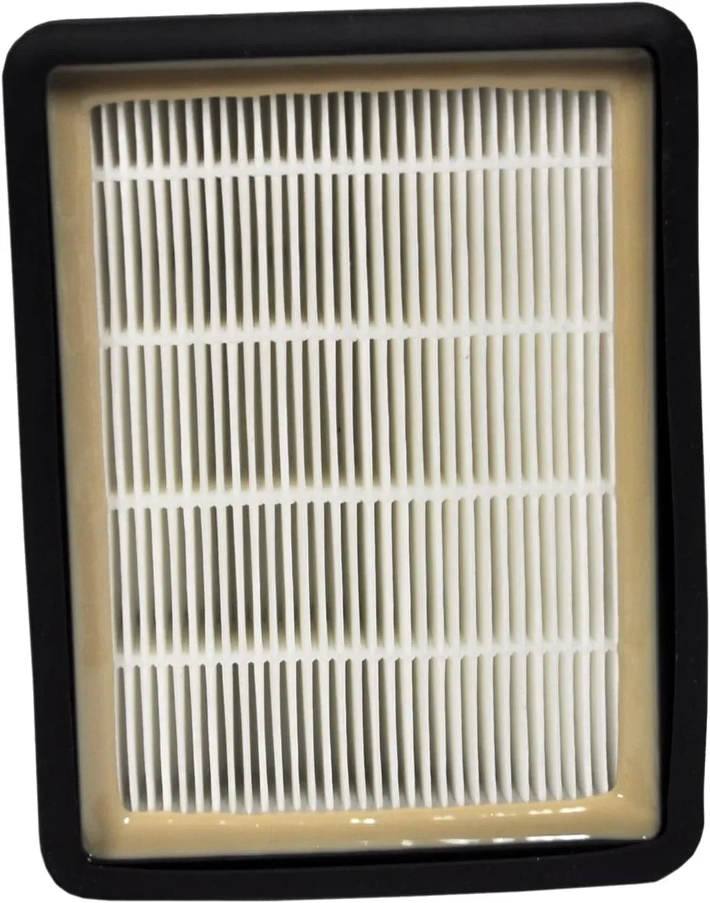 Sizeanitaire Eon SizeC5000 SizeC5000 Sizeeries HEPA HF-50 Vacuum Filter 68904