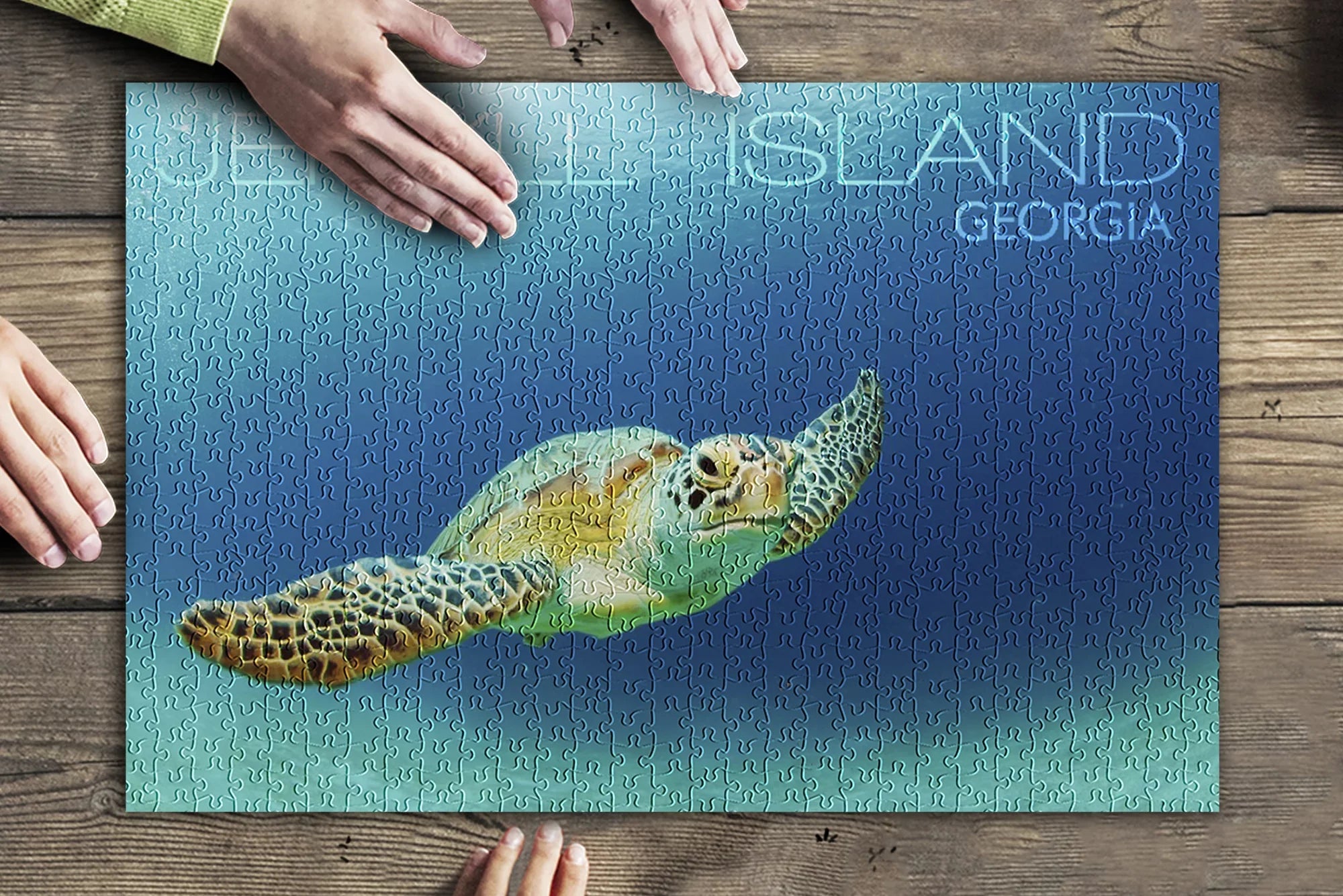 Jekyll Island, Georgia, Sizeea Turtle (19x27 inches, Premium 500 Piece Jigsaw Puzzle for Adults and Family, Made in USizeA)