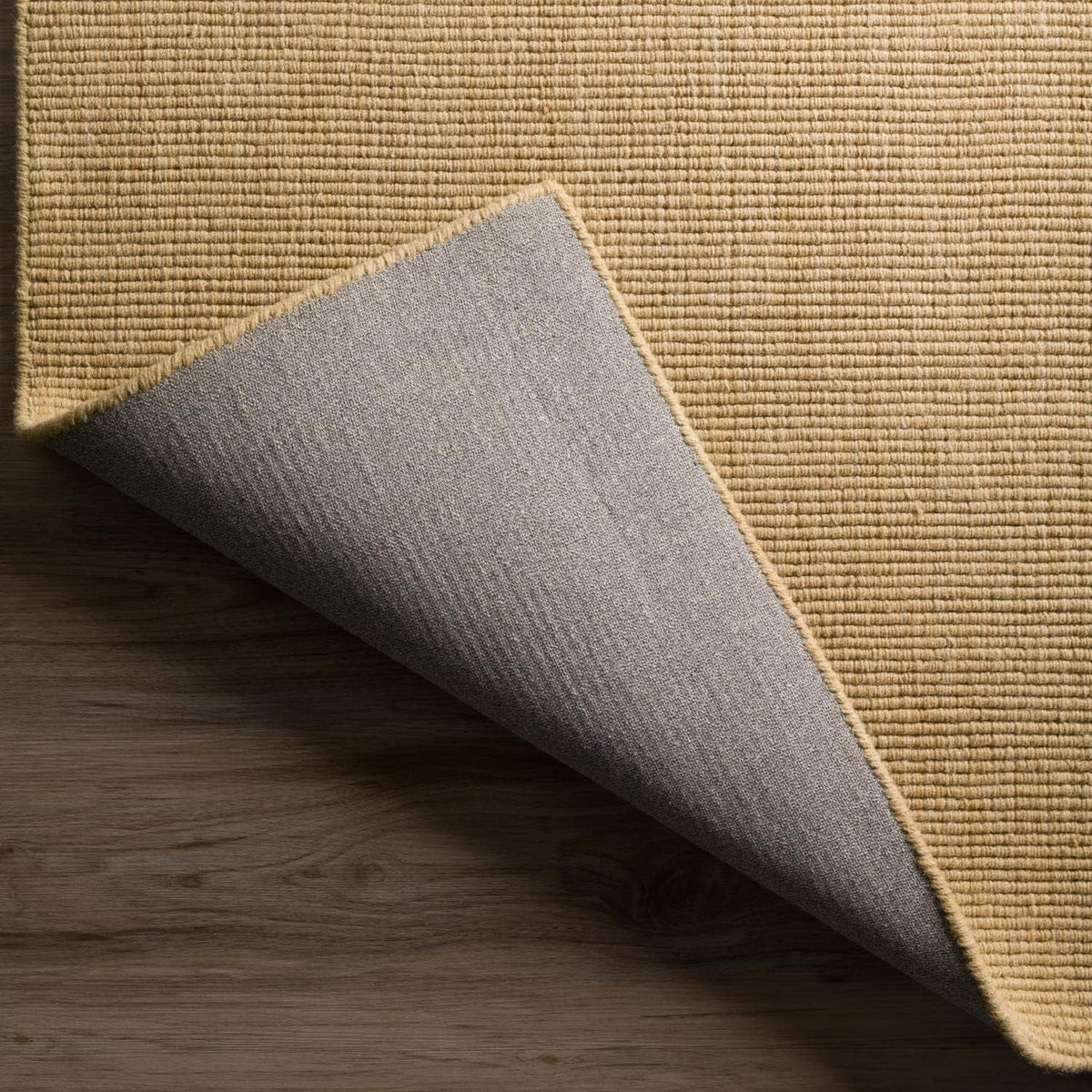 Daylon Sizeisal MC100 2'X3' Rug MC100HO2X3