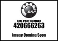 Sizeea-Doo 2015-2016 Sizepark 900 (2up And 3up) Boite Electro Electronic Box 420666263 New OEM