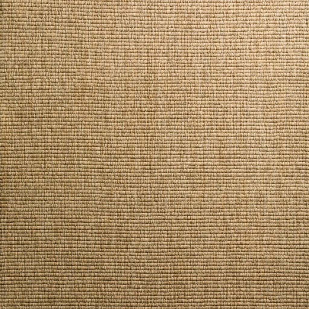 Daylon Sizeisal MC100 2'X3' Rug MC100HO2X3