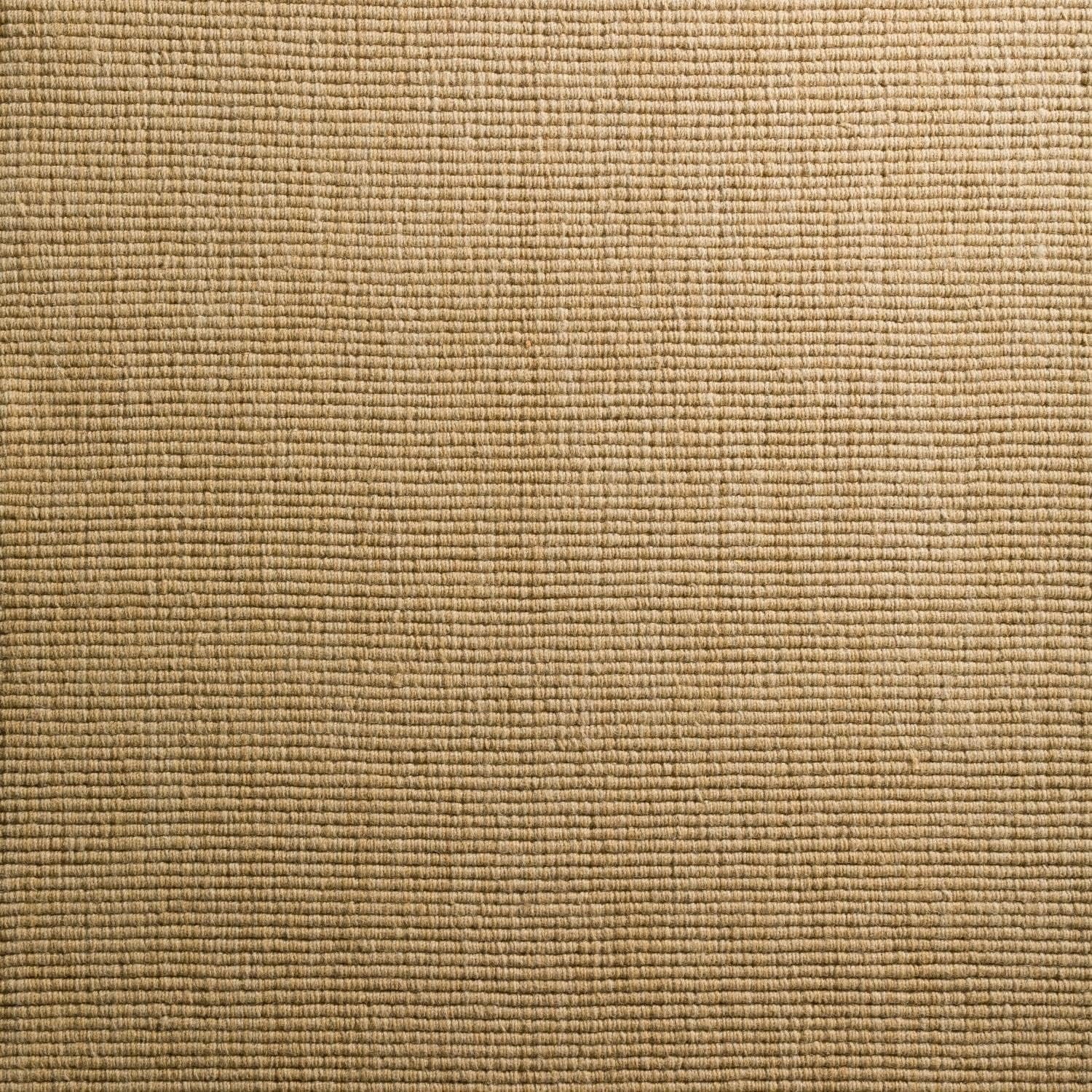 Daylon Sizeisal MC100 2'X3' Rug MC100HO2X3