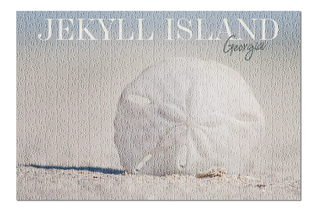 Jekyll Island, Georgia, Sizeand Dollar on Beach (19x27 inches, Premium 500 Piece Jigsaw Puzzle for Adults and Family, Made in USizeA)