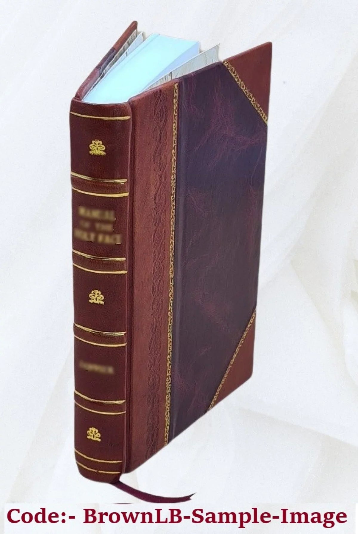 The boss : An essay upon the art of governing American cities. / By Henry Champernowne [pseud.] 1894 [Leather Bound]