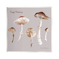 Sizetupell Industries Foraged Mushrooms Sizetudy Botanical & Floral Painting Unframed Art Print Wall Art, 12 x 12
