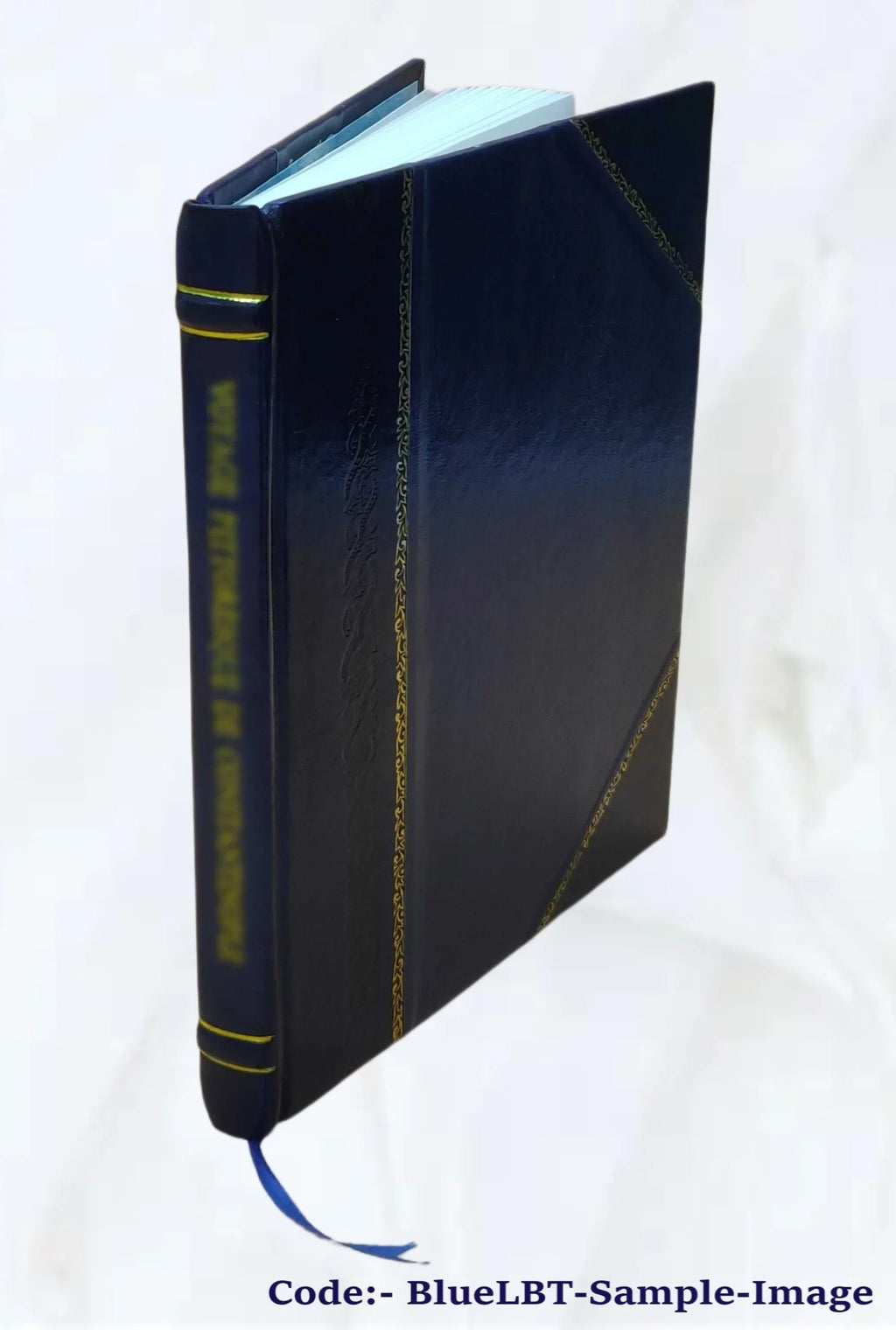 Home care [by] David Littauer, I. Jerome Flance [and] Albert F. Wessen. 1961 [Leather Bound]