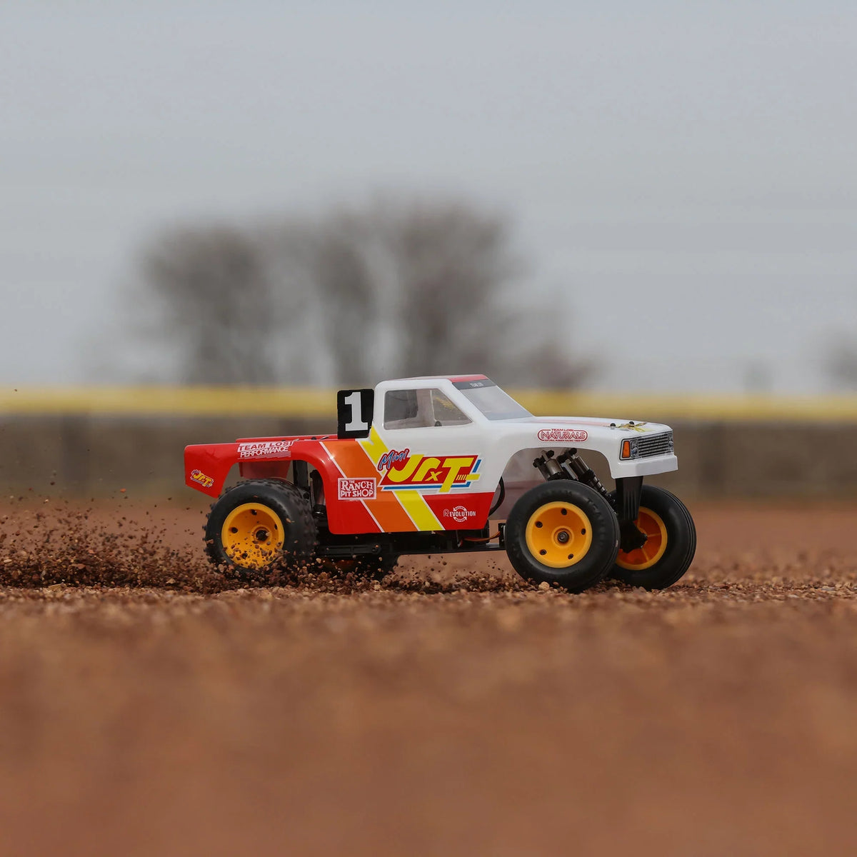 Losi RC Truck 1/16 Mini JRXT Brushed 2 Wheel Drive Limited Edition Racing Monster Truck Ready-To-Run Battery and Charger Included LOSize01021 Trucks Electric RTR Other Trucks Electric RTR Other
