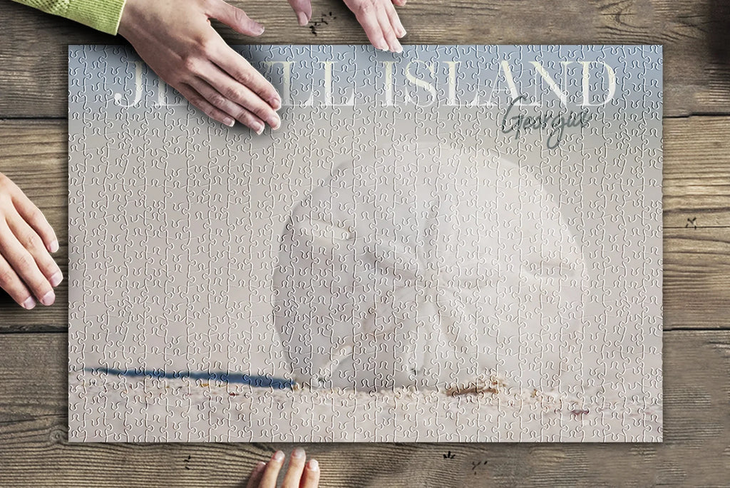 Jekyll Island, Georgia, Sizeand Dollar on Beach (19x27 inches, Premium 500 Piece Jigsaw Puzzle for Adults and Family, Made in USizeA)