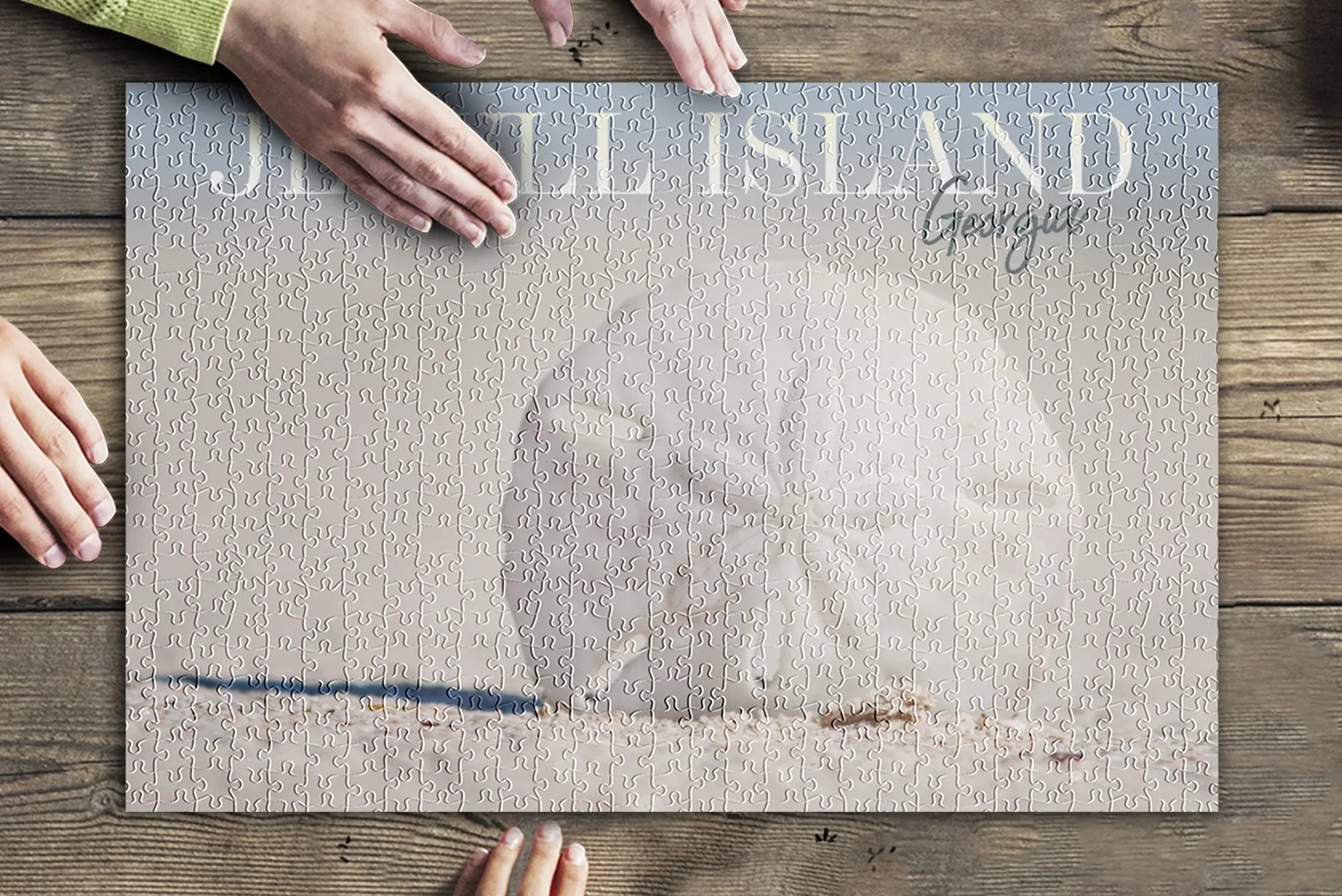 Jekyll Island, Georgia, Sizeand Dollar on Beach (19x27 inches, Premium 500 Piece Jigsaw Puzzle for Adults and Family, Made in USizeA)