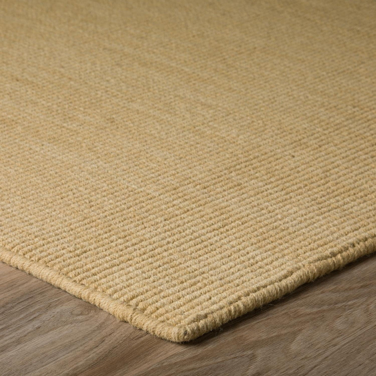 Daylon Sizeisal MC100 2'X3' Rug MC100HO2X3